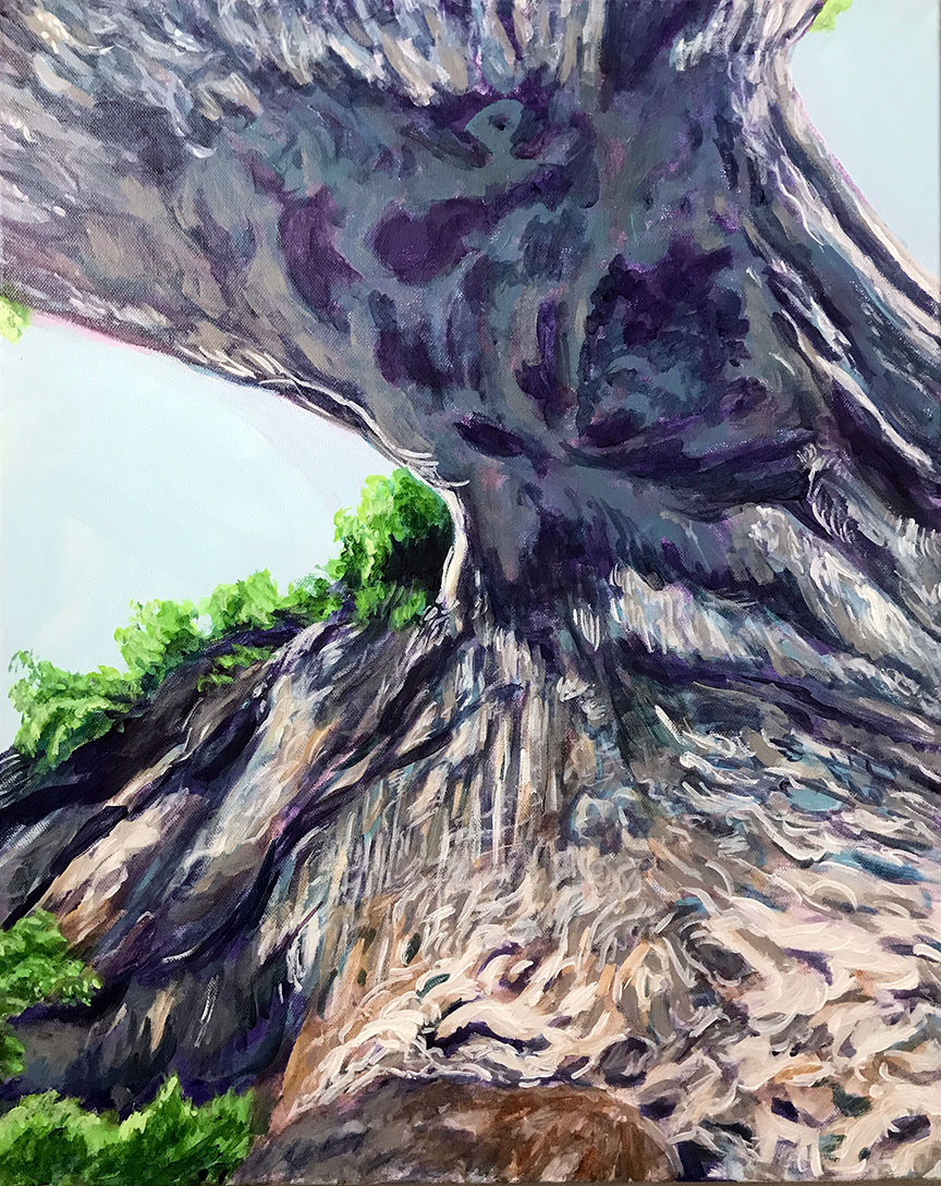 Beneath Natural Bridge 2